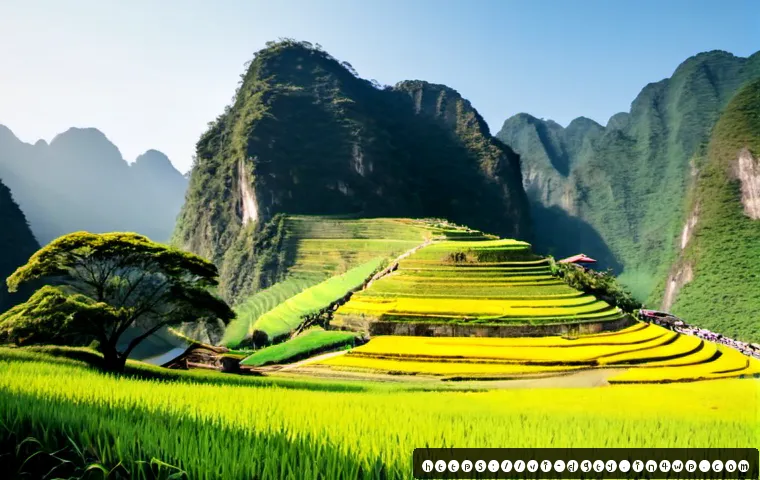 Thiết kế môi trường làm việc sáng tạo cho digital nomad 4 디지털 노마드를 위한 크리에이티브 작업 환경 관련 이미지 2